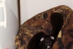  MISS PENNY Aviaticus