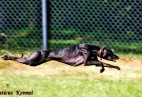 OLIMPIC  BEST  LADY  Aviaticus