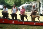 FCI Racing Champion. DE.Ch.BLACK  EDDY  Racing  Kings (D)
