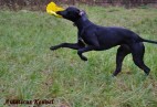 OLIMPIC  BEST  LADY  Aviaticus
