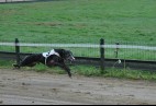 TOP GUN AVIATICUS