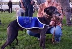 FCI Racing Champion. DE.Ch.BLACK  EDDY  Racing  Kings (D)