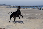 Cha�upy [PL]