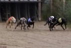 Racetrack Hildesheim [D] -Grose Preis van Niedersachen 2002