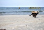 Cha�upy [PL]