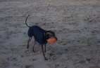Cha�upy -15.01.2020