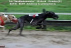 zawody na torze w Munster[DE] -2014rok