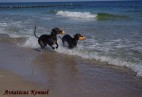 wodne  szale�stwo