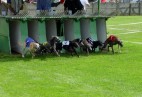 Racetrack Beringen [B] -INT  CACIL Memorial Roger Wielle 