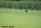 Trening na torze w Rijssen [NL]