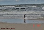 Pla�a nad Ba�tykiem