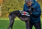 zawody w Rijssen [NL]