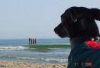 Cha�upy [PL]