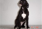 5 weeks old