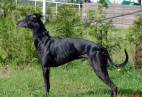 Racetrack Hamburg [D]