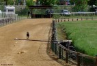 Racetrack Hamburg [DE]