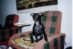 At home