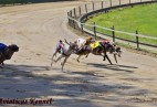 or w Munster [DE] -start w biegu fina�owym